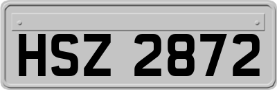 HSZ2872