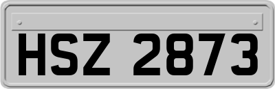 HSZ2873