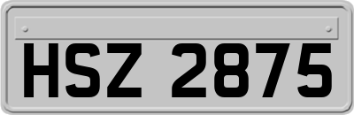 HSZ2875