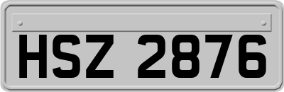 HSZ2876