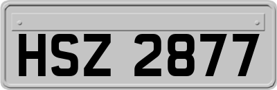 HSZ2877