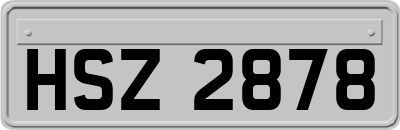 HSZ2878