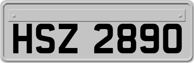 HSZ2890