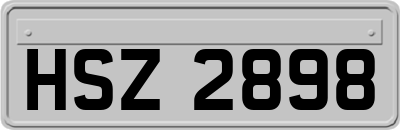 HSZ2898