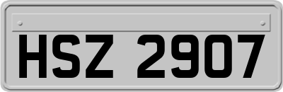 HSZ2907