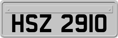 HSZ2910