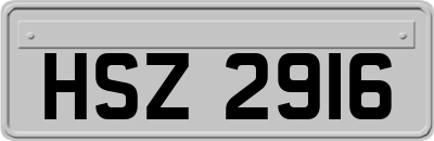 HSZ2916