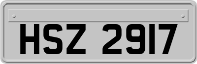 HSZ2917