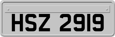 HSZ2919
