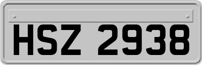 HSZ2938