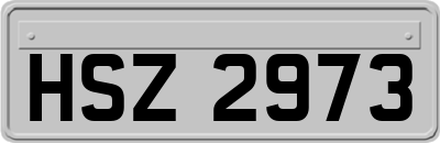 HSZ2973