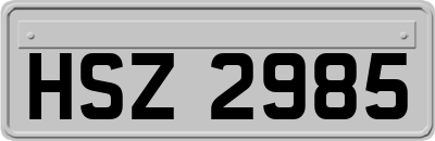 HSZ2985