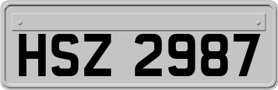 HSZ2987
