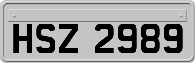 HSZ2989