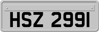 HSZ2991
