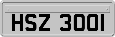 HSZ3001