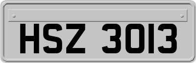 HSZ3013
