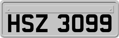HSZ3099