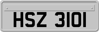 HSZ3101