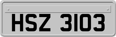 HSZ3103