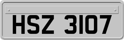 HSZ3107