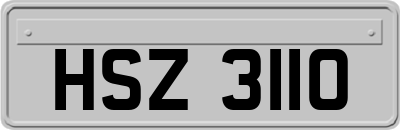 HSZ3110