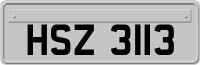 HSZ3113