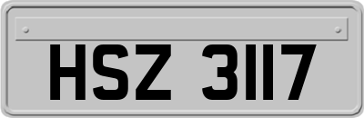 HSZ3117
