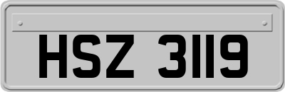 HSZ3119
