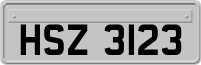 HSZ3123