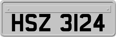 HSZ3124