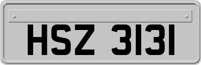 HSZ3131