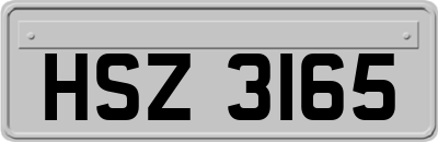 HSZ3165