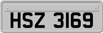 HSZ3169