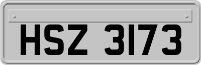 HSZ3173