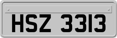 HSZ3313