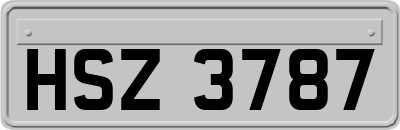 HSZ3787