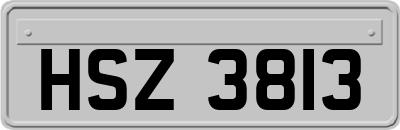 HSZ3813