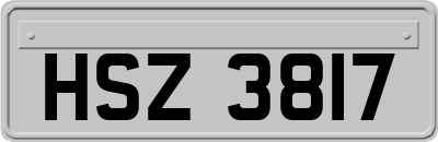 HSZ3817