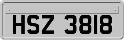 HSZ3818