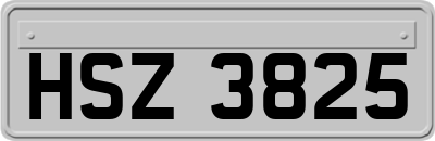 HSZ3825