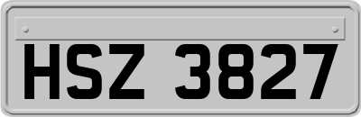 HSZ3827