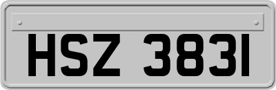 HSZ3831