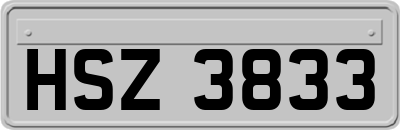 HSZ3833