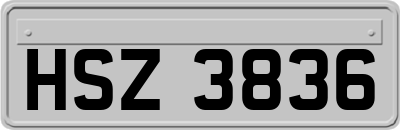 HSZ3836