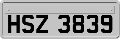 HSZ3839
