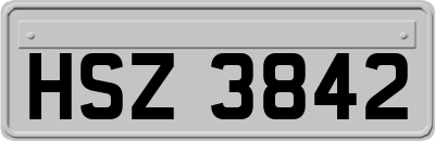 HSZ3842