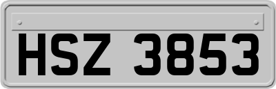 HSZ3853