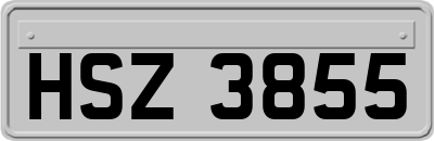 HSZ3855