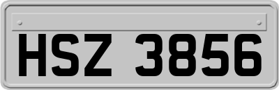 HSZ3856